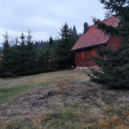 Vila Tijana Mitrovac Zewnętrze zdjęcie