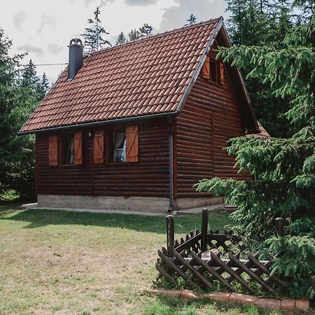 Vila Tijana Mitrovac Zewnętrze zdjęcie