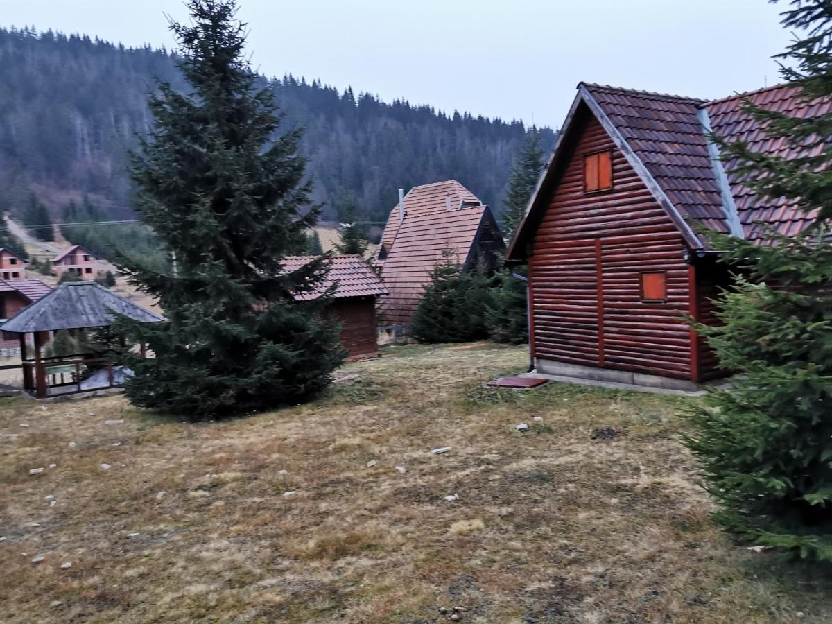 Vila Tijana Mitrovac Zewnętrze zdjęcie
