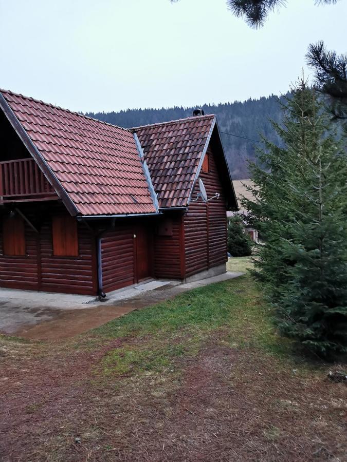 Vila Tijana Mitrovac Zewnętrze zdjęcie