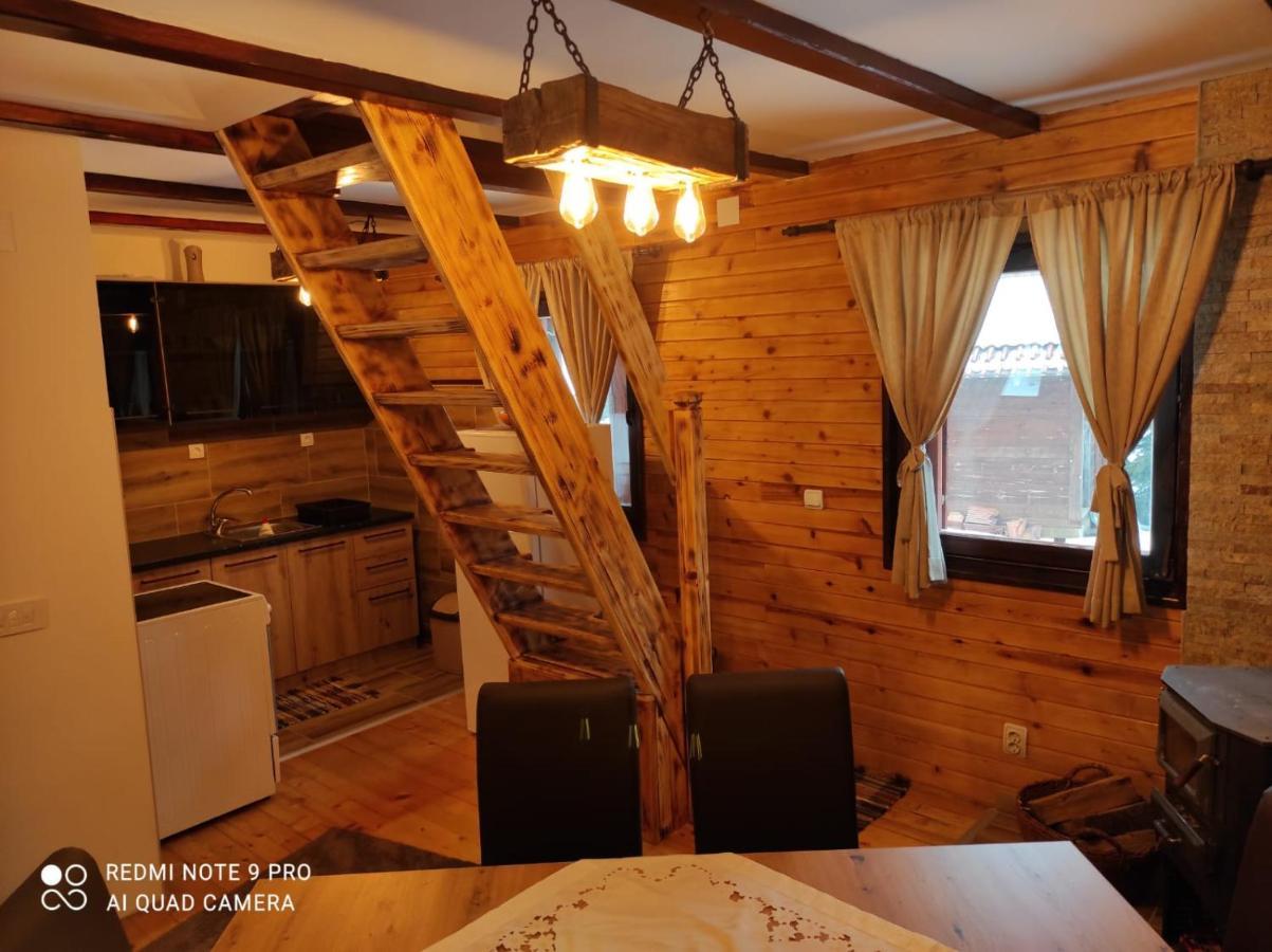 Vila Tijana Mitrovac Zewnętrze zdjęcie